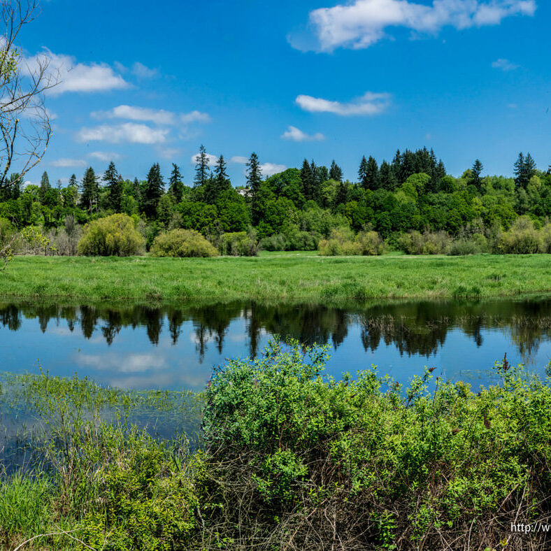 Apartments in Salmon Creek Washington